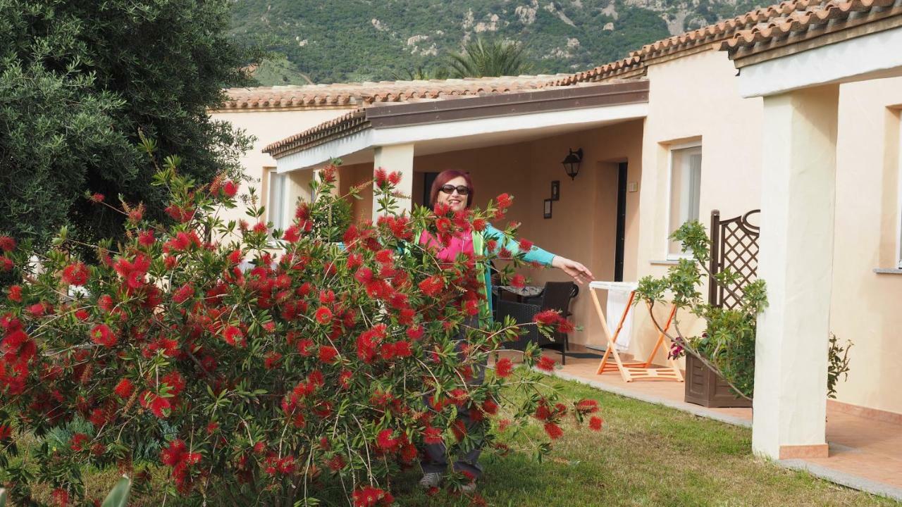 Sa Teria Village - Appartamenti - Tertenia Exterior photo